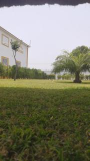 Gambia Paradise Apartment - 1