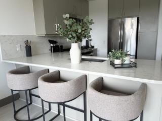 MONTROSE luxury APT 12 MIN FROM NRG mins to Med CNTR - 1