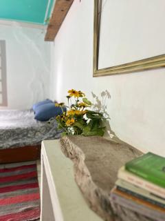 Casa Alquimia Completa - 6