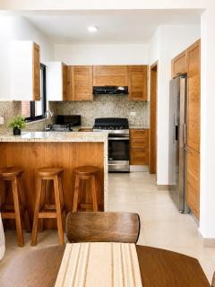 Modern Villa 2 BR Near Airport, Beaches, Dining - 2
