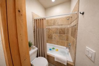 3D Timberwolf Mountain Retreat condo - 1