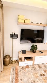 PLSA Studio Apartment-Cantonment - 3