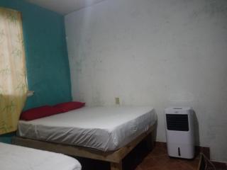 hostal la playa vallarta - 3