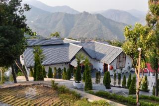 Golden Petal - 4
