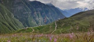 Pangi Valley Homestay - 5