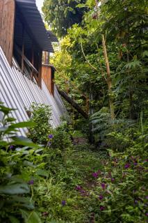 Chalet Escondido fifteen minutes from beaches Pura Vida - 3