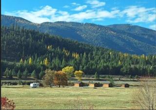 Micham's Clark Fork River Retreat - River Front, Mountain View, Fire Pit - Cabin 3 - 7