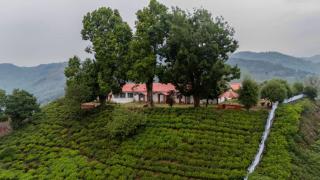 Estate Bungalow with Waterfall, Mountain & Valley Views - 9