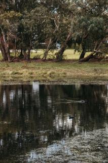 Whalers Cottage - 5