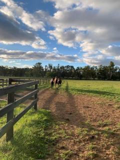 Nook Farm - 5