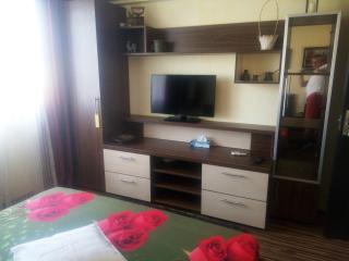 Apartament Dana - Bucharest - 4