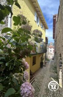 Casa d'amunt - Prats-de-Mollo-la-Preste - 2