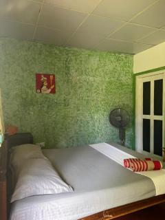 Tropical Homestay Alovera - 9