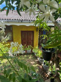 Tropical Homestay Alovera - 6