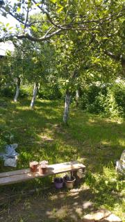 Aral Guest House - 3