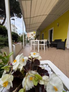 Hotel Dream - 1