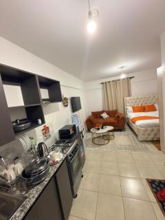Modern and Cosy Studio Near Garden City Mall, Nrb - 6
