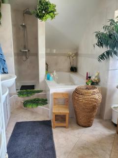 L'OASIS DES MARAIS Gîte 12 personnes - 4