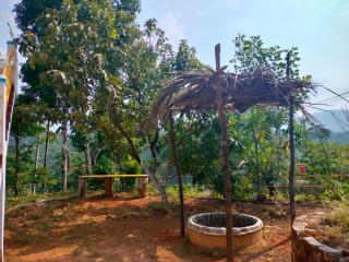 Coorg Silent Stay - 1