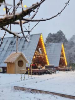 C'est La Vie - Cottages in Sabaduri Forest - 4