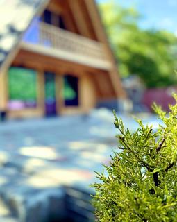Qafqaz A-Frame Chalet Gabala - 6