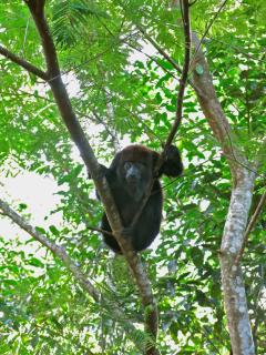 Condomínio Aldeia - 1