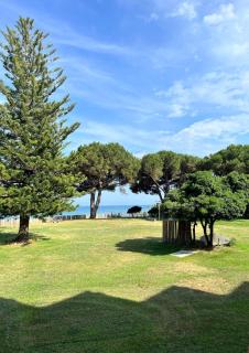 Studio tout confort au calme, vue mer, terrasse, piscine et plage - 3