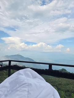 วิมานหมอก ภูทับเบิก - 8