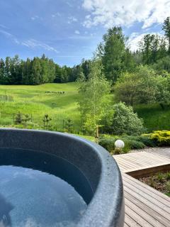 Hill & Chill Kudowa Zdrój - nowoczesne stodoły ze strefą SPA, balia, sauna - 8