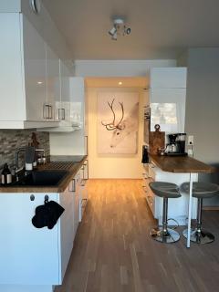 Sea & Aurora View Apartment - 4