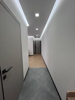 Modern Apt - 2