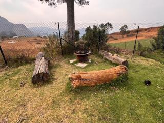 The Earthy Nest by Brown Tree - 3