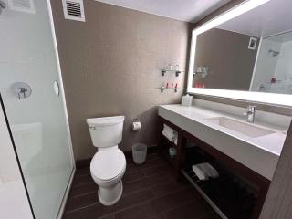 Skyline Hotel Detroit Airport, SureStay Collection by BW - 2