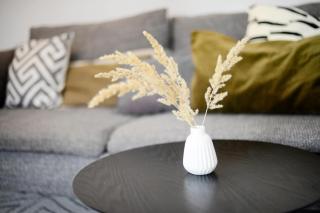 Revalia Bus Station-Airport One Bedroom Apartment - 2