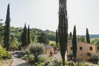 La Pimpinella di Semifonte - 6