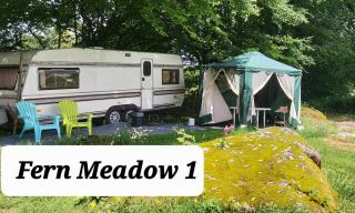 Fern Meadow Caravan 1 - 9