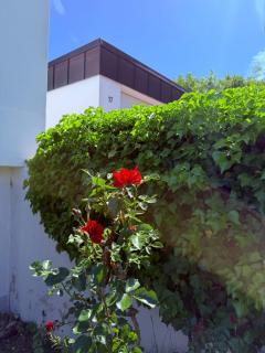 Ferienhaus am Guggenloch in Rimpar bei Würzburg - 4