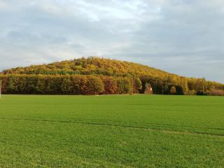 Forsthaus Castell - 2