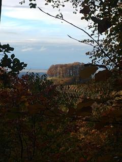 Forsthaus Castell - 1