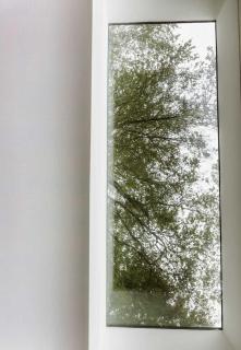 Beneath the Trees - Stylish 2-Bedroom Retreat with Private Terrace - 2