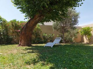 12-Person Villa AC Heated Pool close Aix Provence - 1