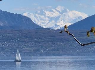 Romantik Hotel Mont Blanc au Lac - 7