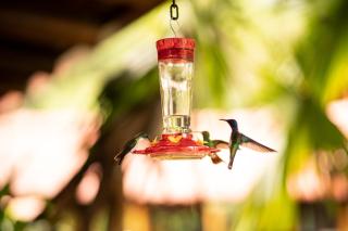La Bicok EcoLodge - 7