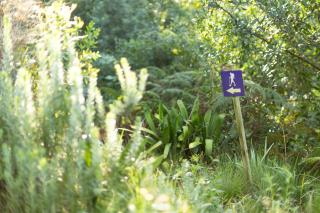 The Fernery Lodge & Spa - 1
