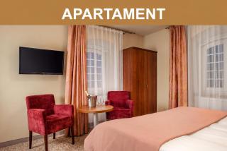 Hotel Miodowy Młyn - 5