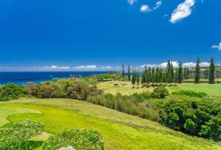 622 Kapalua Ridge Villa - 7
