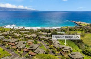 622 Kapalua Ridge Villa - 6