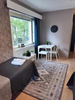 Kotimaailma Apartments - kodikas yksiö - Armonkallio - 6