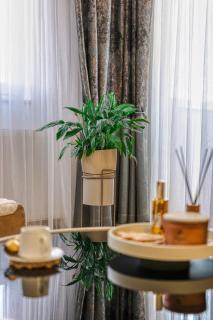 Apartman Centar - 5