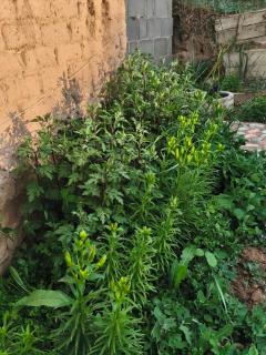 Nurdan Guest House - 6